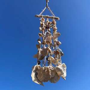Peut inclure: Un carillon de coquillages artisanal suspendu contre un ciel bleu clair. Le carillon présente un dessus en bois et plusieurs brins de coquillages de différentes formes et couleurs neutres, créant une esthétique côtière naturelle. Les coquillages sont enfilés avec de la ficelle.