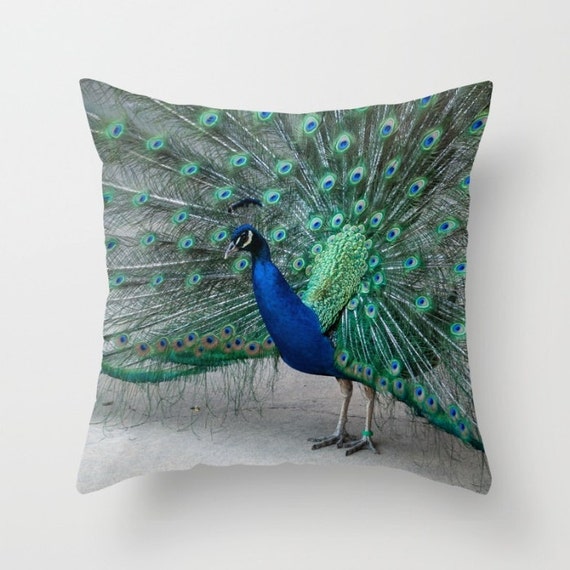 feather pillow case