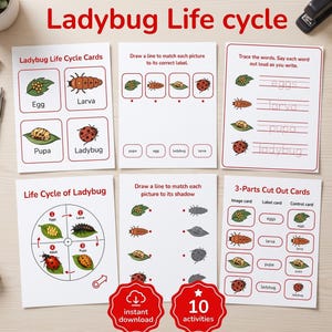 Puede incluir: Un conjunto de seis hojas de trabajo educativas tituladas Ladybug Life cycle, con ilustraciones de huevos, larvas, pupas y mariquitas adultas. Las páginas incluyen actividades de emparejamiento, ejercicios de caligrafía y tarjetas para recortar.