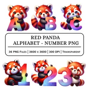 May include: Digital illustrations of red pandas holding colourful letters and numbers. The image includes the letters A, B, and C, and the numbers 1, 2, and 3. Text at the bottom reads "RED PANDA ALPHABET - NUMBER PNG".