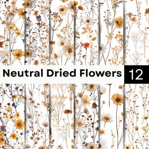 May include: A collection of 12 digital patterns featuring neutral dried flowers in shades of beige, cream, and muted yellow on a white background. The text Neutral Dried Flowers 12 is displayed in a black bar across the center of the image.
