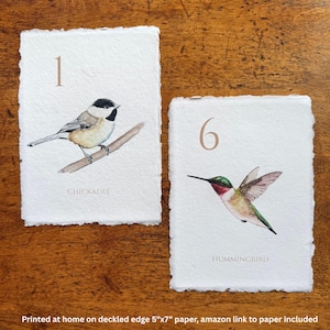 Numéros de table de mariage aquarelle oiseaux de la Nouvelle-Angleterre personnalisables