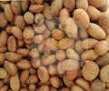 fresh bitter kola(1 lb)