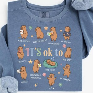 May include: Blue sweatshirt with a graphic of capybaras and the text "It's ok to" with various affirmations. The capybaras are depicted in different scenarios, such as "Make Mistakes" and "Take Breaks".