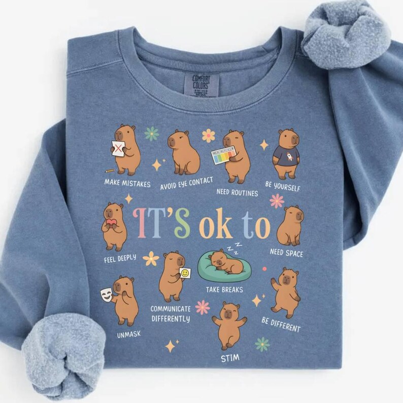 May include: Blue sweatshirt with a graphic of capybaras and the text "It's ok to" with various affirmations. The capybaras are depicted in different scenarios, such as "Make Mistakes" and "Take Breaks".