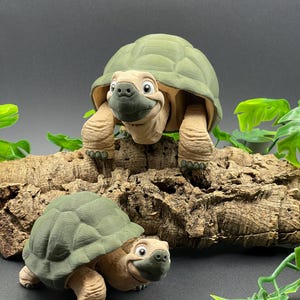 Tortoise - Playful & Absolutely Adorable - 3D Printed Articulated Figurine - Retracts into Shell