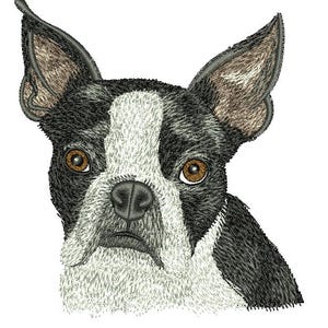 May include: Embroidered image of a Boston Terrier dog's face. The dog has black and white fur with brown eyes and large, erect ears. The image is a close-up, showcasing the dog's facial features.