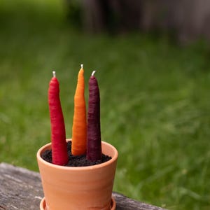 Puede incluir: Una maceta de terracota con tres velas con forma de zanahoria en tonos rojo, naranja y morado. Las velas están plantadas en tierra oscura, y la maceta se encuentra sobre una superficie de madera desgastada sobre un fondo verde borroso.