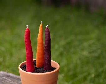 Juego de velas de cera de abeja con forma de zanahoria, decoración única para el jardín.