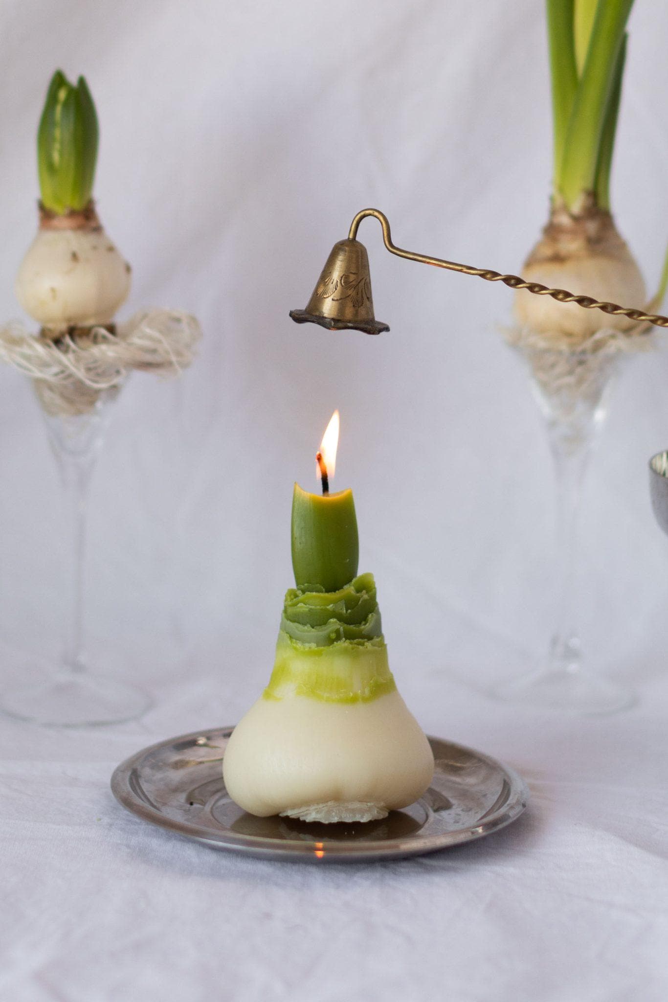 Wax amaryllis - Etsy 日本