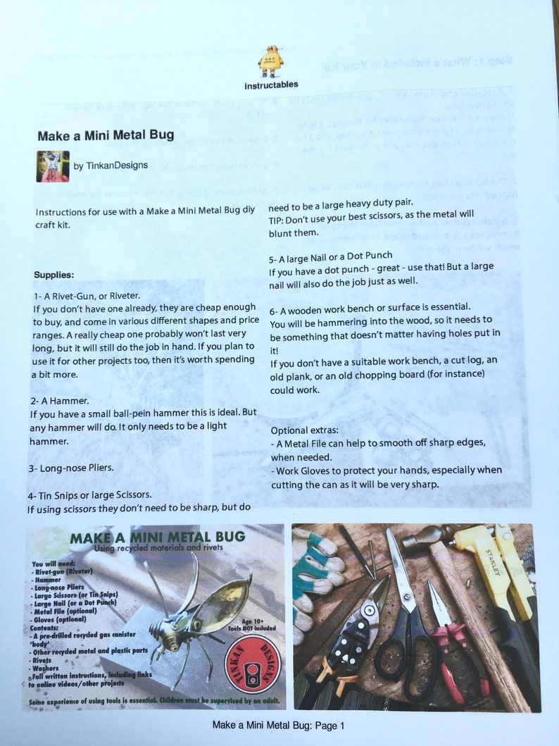 Make a Mini Metal Bug, DIY Craft Kit, Metalwork, Age 10, Learn to Rivet. Recycled Components, Rivets, Full Instructions Included. image 2