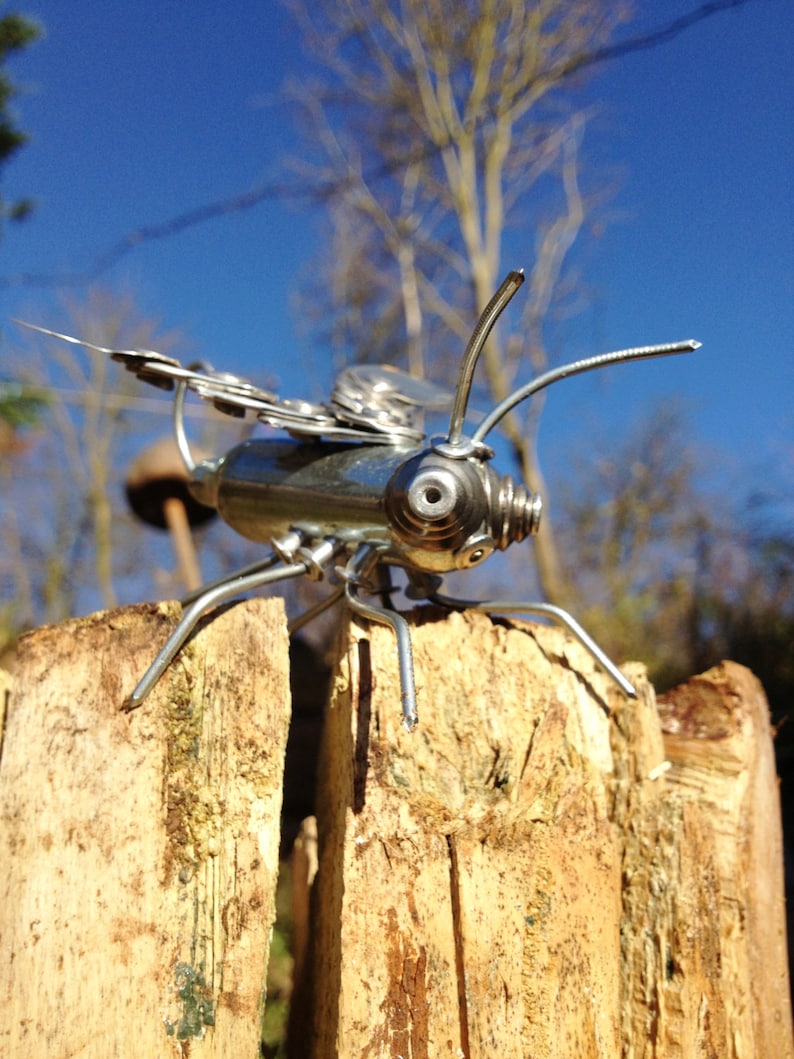 Mini Scrap Metal Bug, or 'nozbug', Recycled Metals and Rivets, Quirky ...