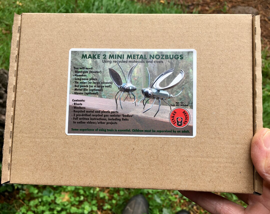 Craft Kit, Make 2 Mini Metal Nozbugs, Twin Pack, Learn to Make 2 ...