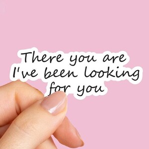 There You Are I’ve Been Looking For You Sticker, ACOTAR Sticker, Fantasy Romance, Book Club Sticker, Reader Sticker, Book Lover Gift