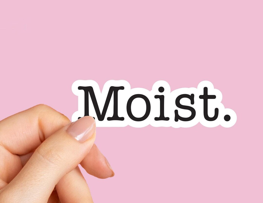 Moist Stickers, Laptop Stickers, Funny Stickers, Sarcasm Laptop Decals ...