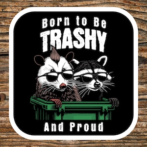 Raccoon Sticker - Born to be Trashy and Proud, Funny Raccoon Sticker, Raccoon Camping Stickers, Journals, Laptops, Water Bottles