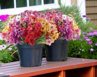 24 Bundle Outdoor Fake Flowers UV Resistant – Realistic Faux Flower Plants for Porch, Garden, Hanging Basket, Window Box Decor