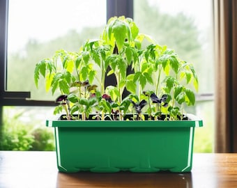 10-Pack Seed Starter Trays with Humidity Dome | 120-Cell Germination Kit for Healthy Seed Growth | Mini Greenhouse for Indoor Gardening