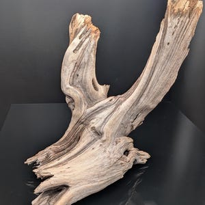 May include: A piece of driftwood with a natural, weathered appearance. The wood is light brown with darker streaks and a textured surface. The shape is irregular, with multiple branches and curves, suitable for home decor or craft projects.