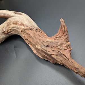 May include: A piece of driftwood with a natural, organic shape. The wood features a mix of light tan and reddish-brown tones, with a textured surface and a curved, sculptural form. The driftwood appears to be weathered and aged.