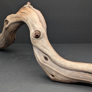 May include: A curved piece of weathered driftwood with a light tan and grey color palette. The wood features a prominent arch, visible grain patterns, and several dark, circular knots along its textured, organic surface and length.