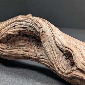 May include: A piece of weathered driftwood with a light brown, textured surface. The wood features deep, organic grooves, ridges, and a prominent knot, showcasing a natural, gnarled grain pattern that curves along the length of the branch.