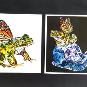 May include: Two watercolor paintings of a frog with butterfly wings. The first painting shows the frog on a white background. The second painting shows the frog on a skull with a snail shell.