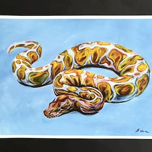 Peut inclure: Une peinture d'un serpent blanc, jaune et orange avec des marques brunes sur un fond bleu clair.