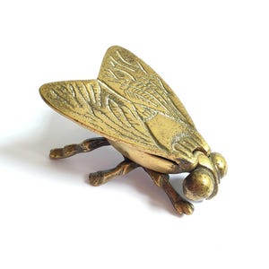 Peut inclure: Une figurine en laiton en forme de mouche domestique avec des ailes gravées détaillées et des yeux arrondis proéminents. La sculpture d'insecte présente une finition dorée métallique avec des accents de patine sombre sur les pattes et la tête.