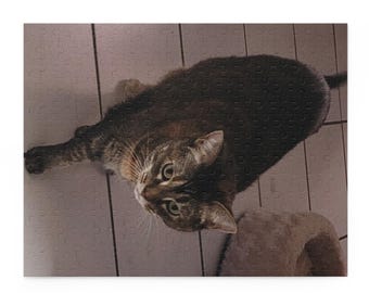 Tabby Cat Jigsaw Puzzle - 252 Piece Family Game