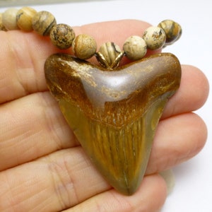 Shark Tooth Necklace Unisex Mens Jewelry Pendant Fossil Summer Vacation Gift for Fathers Day For Him