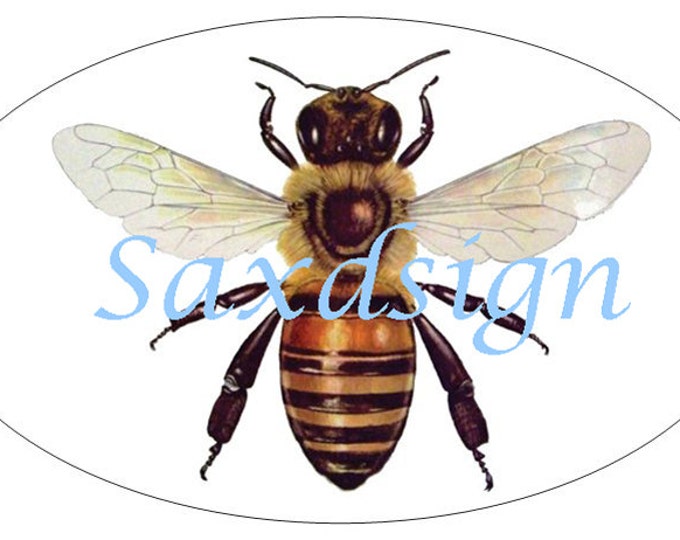 Honey Bee Auto Car Decal Sticker Beekeeping Apiary Entemology Etsy
