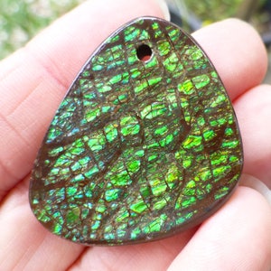 May include: A green and brown iridescent opal pendant with a hole drilled through the top for a cord or chain. The opal has a unique, textured surface.