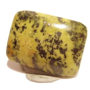 Serpentine  Serpentineite Cabochon Rectangular - Verigated Black
