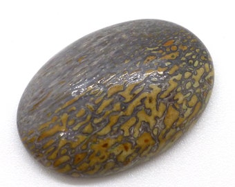 20.865 Carats Dino Knochen Cabochon Handgemacht Lisajoy Sachs Design Selten Blau Versteinerte Dinosaurier Achatisierte Fossil Schmuck Rarität Kuriosität