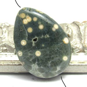 May include: A polished, teardrop-shaped gemstone with a dark green base color. The stone features numerous cream-colored, circular inclusions, creating a spotted pattern. Fine, white veining adds texture. A hole is visible near the top.