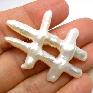 Könnte beinhalten: Eine weiße Barockperle mit unregelmäßiger Form, die an einen Ast oder einen Baum erinnert. Die Perle hat eine glatte, glänzende Oberfläche und irisierende Highlights.