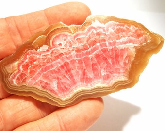 144 Carats Rhodochrosite Poker Card Protector Cabochon Stalagmite Slice Stalactite Quality Gem Large Giant Belt Buckle Lapidary Slab