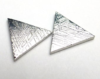 化石サンドドルカボション 化石ウニ 先史時代 中新世 イソギンチャク