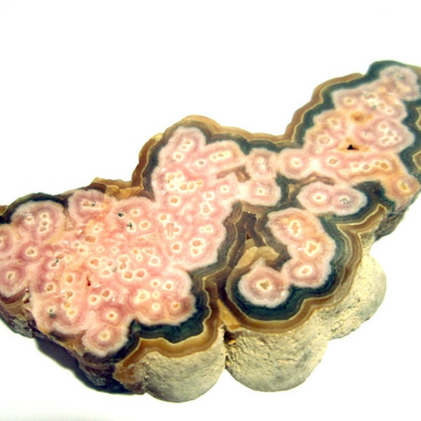 Rhodochrosite Stalagmite Slice Cabochon Stalactite - Bulls Eye AAA Grade - Gem Quality - RARE