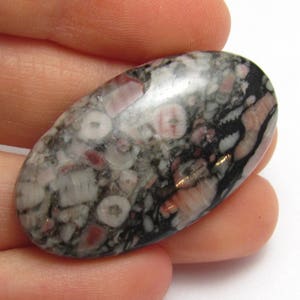 Cabujón fósil de crinoideo 35x20 20x35 35 mm x 20 mm Ovalado rosa negro gris Hecho a mano Grande Único en su tipo Caras antiguas dientes
