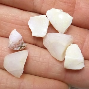 May include: A collection of irregularly shaped, off-white, and translucent gemstone fragments. One piece has a pinkish hue with some visible texture. The fragments vary in size and shape, with smooth, polished surfaces.