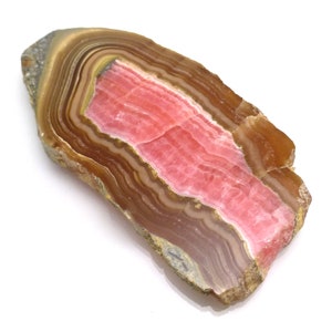 コリアグランドセール 2025 VIBRANT Top Specimen Slice Stalactite Rhodochrosite Quality 画材
