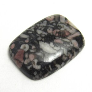 Crinoid Fossil Cabochon 20x15 15x20 20 mm x 15 mm Rechteck rosa schwarz grau Handmade One of a Kind Antike Gesichter Zähne Prähistorische