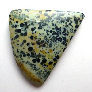 May include: A triangular shaped cabochon of green, yellow, and black orbicular jasper. The stone has a mottled pattern of small, round, dark spots.