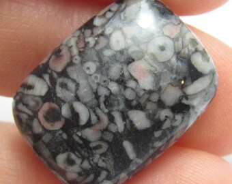 Crinoid Fossil Cabochon 20x15 15x20 20 mm x 15 mm Rechteck rosa schwarz grau Handmade One of a Kind Antike Gesichter Zähne Prähistorische