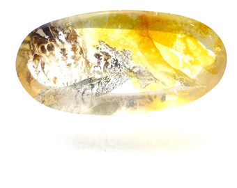 Dendritic Quartz Cabochon Branch Tree Oval Ring Stone Translucent Clear Transparent One of a Kind Rare Designer Orange Clear Black Yellow