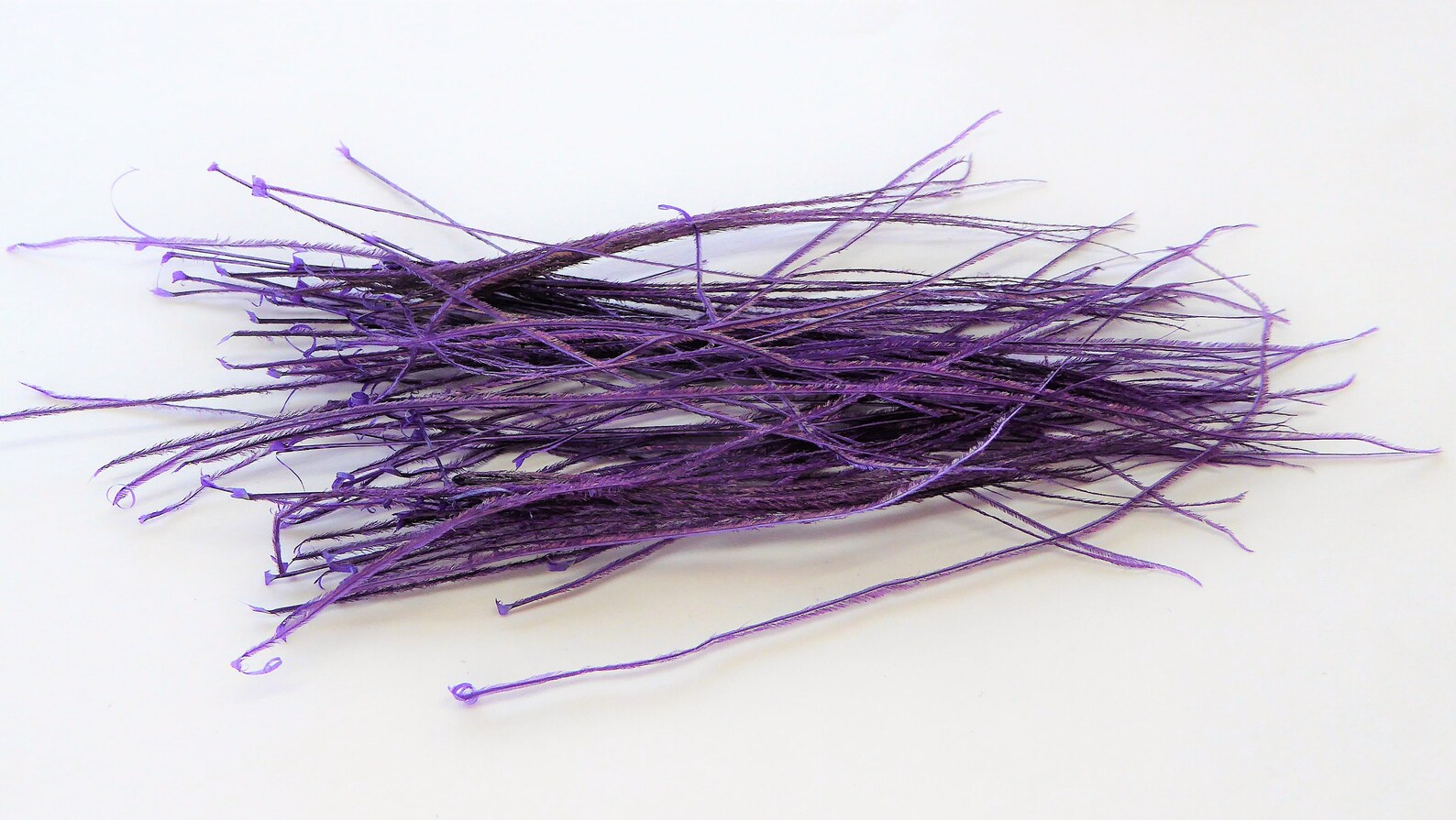 Fly Tying Peacock Herl Feather Herl feather repurpose pieces Etsy Italia