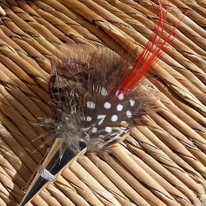 Può includere: Uno spillo d'argento con un designo di piuma marrone, bianco e rosso. La piuma ha pois bianchi e una punta rossa.