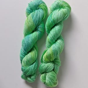 Peut inclure: Deux &eacute;cheveaux de fil teints &agrave; la main dans des tons de vert et de bleu. Le fil est torsad&eacute; en forme de corde, avec les couleurs se fondant les unes dans les autres. Le fil semble doux et d&eacute;licat, adapt&eacute; aux projets de tricot ou de crochet.